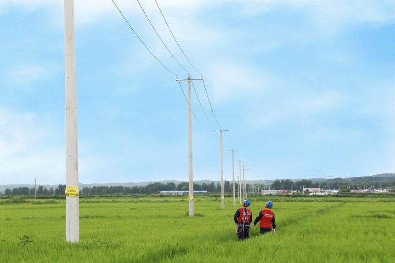 沿著總書記的足跡｜長白山下電足稻米香